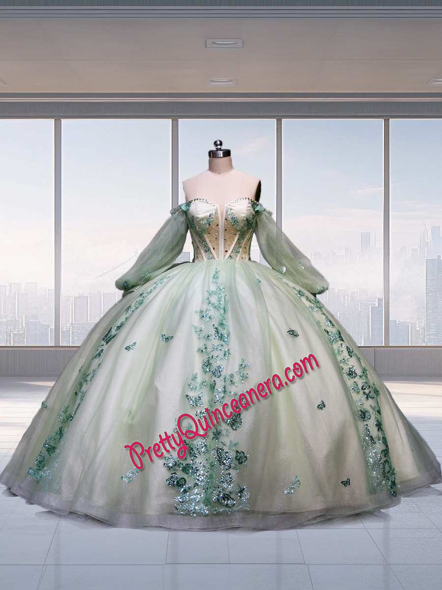Shunning Sage Glitter Butterfly Sheer Corset Quinceanera Gown with Detachable Long Sleeves