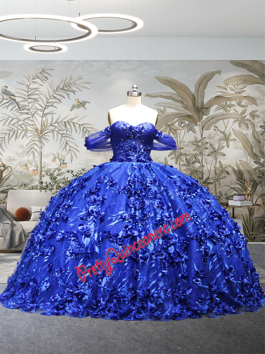 Royal Blue Beading Sheer Corset Full 3D Flowers Lace Skirt Quinceanera Gown with Train