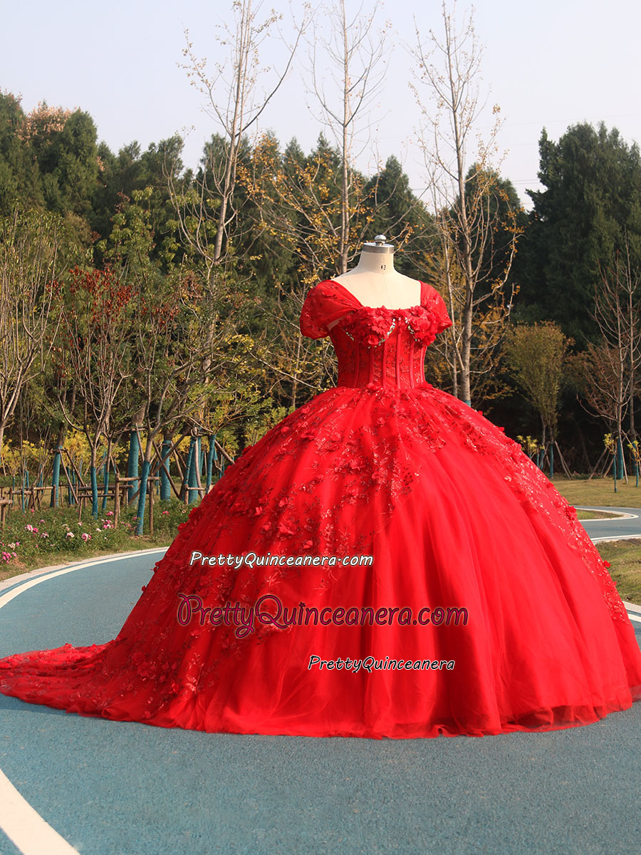 Bright Glitter Lace 3D Flowers Horsehair Hem Cap Sleeve Illusion Corset Quinceanera Dress with Train