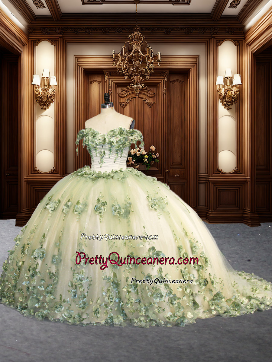 Beautiful Sage 3D Flowers Lace Chapel Train Lace up Back Quinceanera Dress